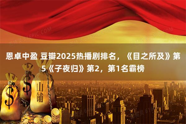 恩卓中盈 豆瓣2025热播剧排名，《目之所及》第5《子夜归》第2，第1名霸榜